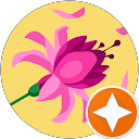 Bella Bianchi profile picture