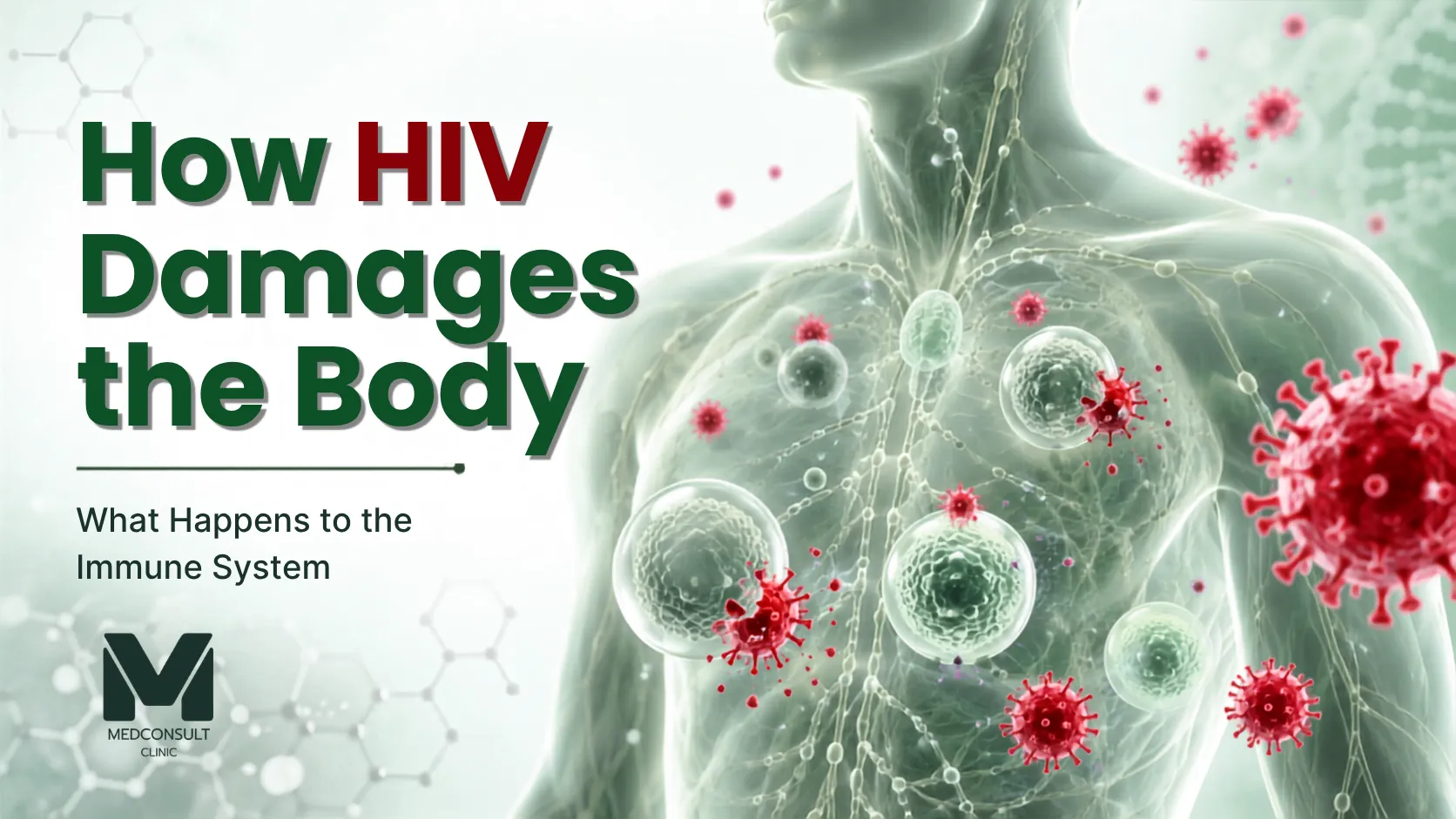 How-HIV-Damages-the-Body